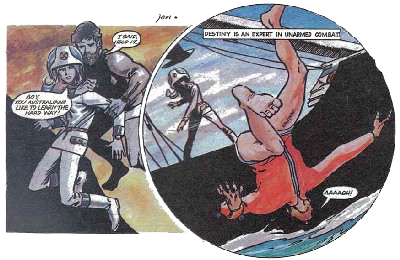Karate Destiny
