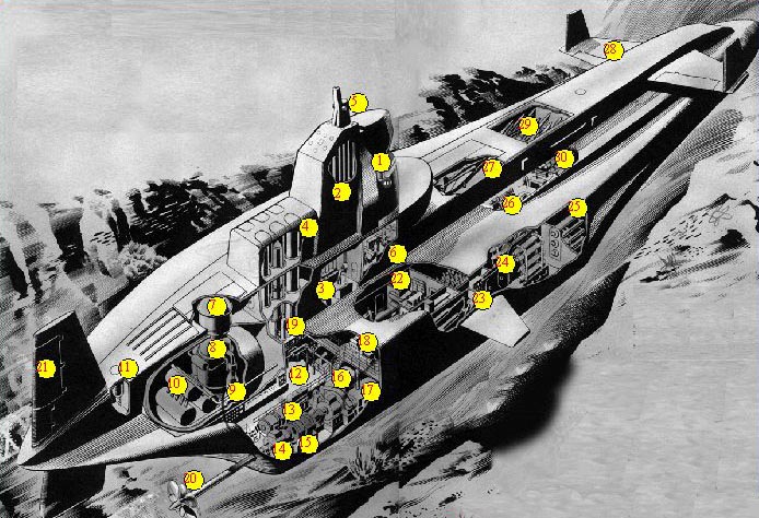 Clam cutaways