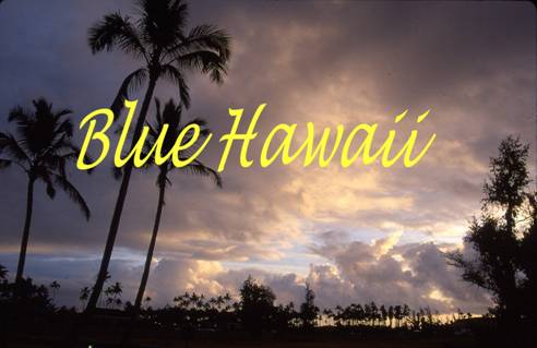 Blue Hawaii