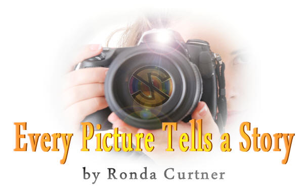 Every Picture Tells a Story, by Ronda Curtner