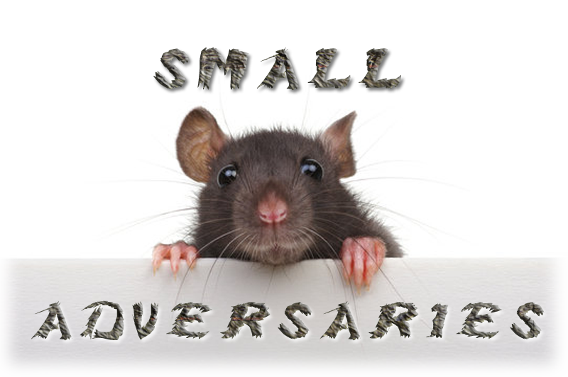 Small Adversaries