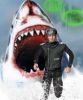 Filename=grey_shark_attack.jpg
Filesize=87KB
Dimensions=639x767
Date added=Dec 26, 2015 grey_shark_attack.jpg