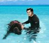Filename=grey_and_bear1.JPG
Filesize=151KB
Dimensions=899x791
Date added=Dec 26, 2015 grey_and_bear1.JPG