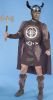 Filename=viking_blue.jpg
Filesize=58KB
Dimensions=400x744
Date added=Oct 27, 2010 viking_blue.jpg