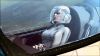 Filename=Harmony_Mercury_01.jpg
Filesize=49KB
Dimensions=725x408
Date added=Feb 22, 2010 Harmony_Mercury_01.jpg