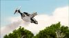 Filename=Albatross_22.jpg
Filesize=46KB
Dimensions=768x432
Date added=Feb 20, 2010 Albatross_22.jpg