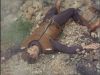 Filename=02_Brown_dead.jpg
Filesize=50KB
Dimensions=620x465
Date added=Mar 05, 2010 02_Brown_dead.jpg