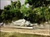 Filename=SPV_camouflage_01b.jpg
Filesize=81KB
Dimensions=653x490
Date added=Feb 24, 2010 SPV_camouflage_01b.jpg