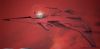 Filename=cgi_interceptor1.jpg
Filesize=13KB
Dimensions=600x296
Date added=Mar 05, 2010 cgi_interceptor1.jpg