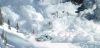 Filename=spv_avalanche2.jpg
Filesize=263KB
Dimensions=1389x675
Date added=Jan 29, 2011 spv_avalanche2.jpg