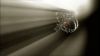 Filename=03_Interrogation_Room_01.jpg
Filesize=44KB
Dimensions=1024x576
Date added=Jul 11, 2010 03_Interrogation_Room_01.jpg