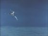 Angel_Interceptors_Night_Launch_01h.jpg