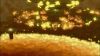 Filename=CS_Beginning_Credits_23.jpg
Filesize=62KB
Dimensions=768x432
Date added=Feb 21, 2010 CS_Beginning_Credits_23.jpg