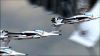 Filename=CS_Beginning_Credits_28.jpg
Filesize=45KB
Dimensions=768x432
Date added=Feb 21, 2010 CS_Beginning_Credits_28.jpg