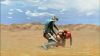 Filename=Enigma_49.jpg
Filesize=46KB
Dimensions=768x432
Date added=Feb 21, 2010 Enigma_49.jpg