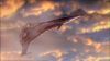 Filename=Falcon_19.jpg
Filesize=60KB
Dimensions=1024x576
Date added=Feb 22, 2010 Falcon_19.jpg