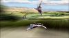 Filename=Falcons_03.jpg
Filesize=63KB
Dimensions=853x480
Date added=Feb 22, 2010 Falcons_03.jpg
