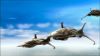 Filename=Fallen_Angels_07.jpg
Filesize=45KB
Dimensions=768x432
Date added=Feb 21, 2010 Fallen_Angels_07.jpg