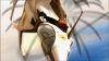 Filename=Fallen_Angels_12.jpg
Filesize=45KB
Dimensions=768x432
Date added=Feb 21, 2010 Fallen_Angels_12.jpg
