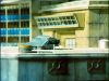 Filename=Shadow_Fear_01.jpg
Filesize=64KB
Dimensions=653x490
Date added=Feb 27, 2010 Shadow_Fear_01.jpg