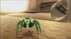 Filename=Swarm_20.jpg
Filesize=42KB
Dimensions=853x480
Date added=Feb 20, 2010 Swarm_20.jpg