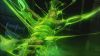 Filename=Swarm_30.jpg
Filesize=42KB
Dimensions=640x360
Date added=Feb 20, 2010 Swarm_30.jpg