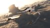 Filename=launch_all_angels_by_chrisofedf.jpg
Filesize=73KB
Dimensions=900x506
Date added=Jul 18, 2019 launch_all_angels_by_chrisofedf.jpg