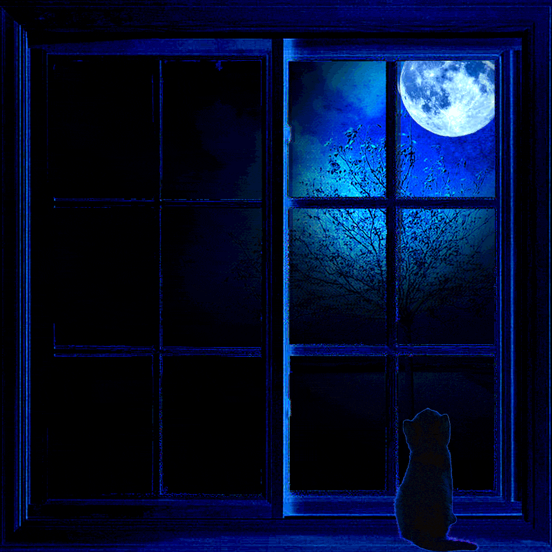 A Stranger at the Window