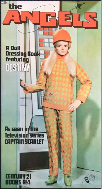 Destiny Doll Dressing Book